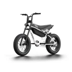 electric bike with hydraulic brakes