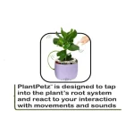 PlantPetz - Maceta Robótica Interactiva para Plantas Reales - Imagen 4