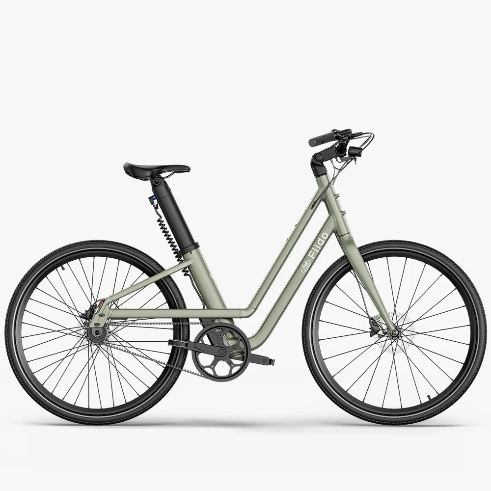 Fiido C700 City Electric Bike Stylish electric bike
