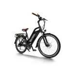 Electric Pedal Assist