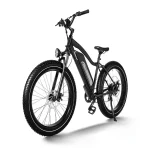 750w motor electric bike