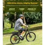 bicicleta eléctrica con motor de 250w