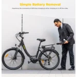 electric bike with removable battery