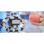 herramienta de codificación interactiva