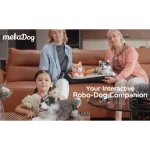 robot husky interactivo