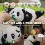 compañero inteligente y tierno