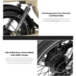 bicicleta eléctrica de neumáticos gruesos