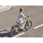 movilidad urbana premium