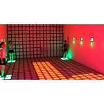 Rejilla de píxeles programable