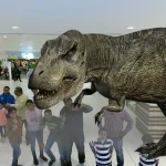 Animación de animales en 3D
