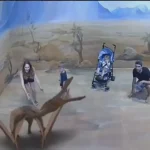 Panel mural de zoológico de realidad aumentada