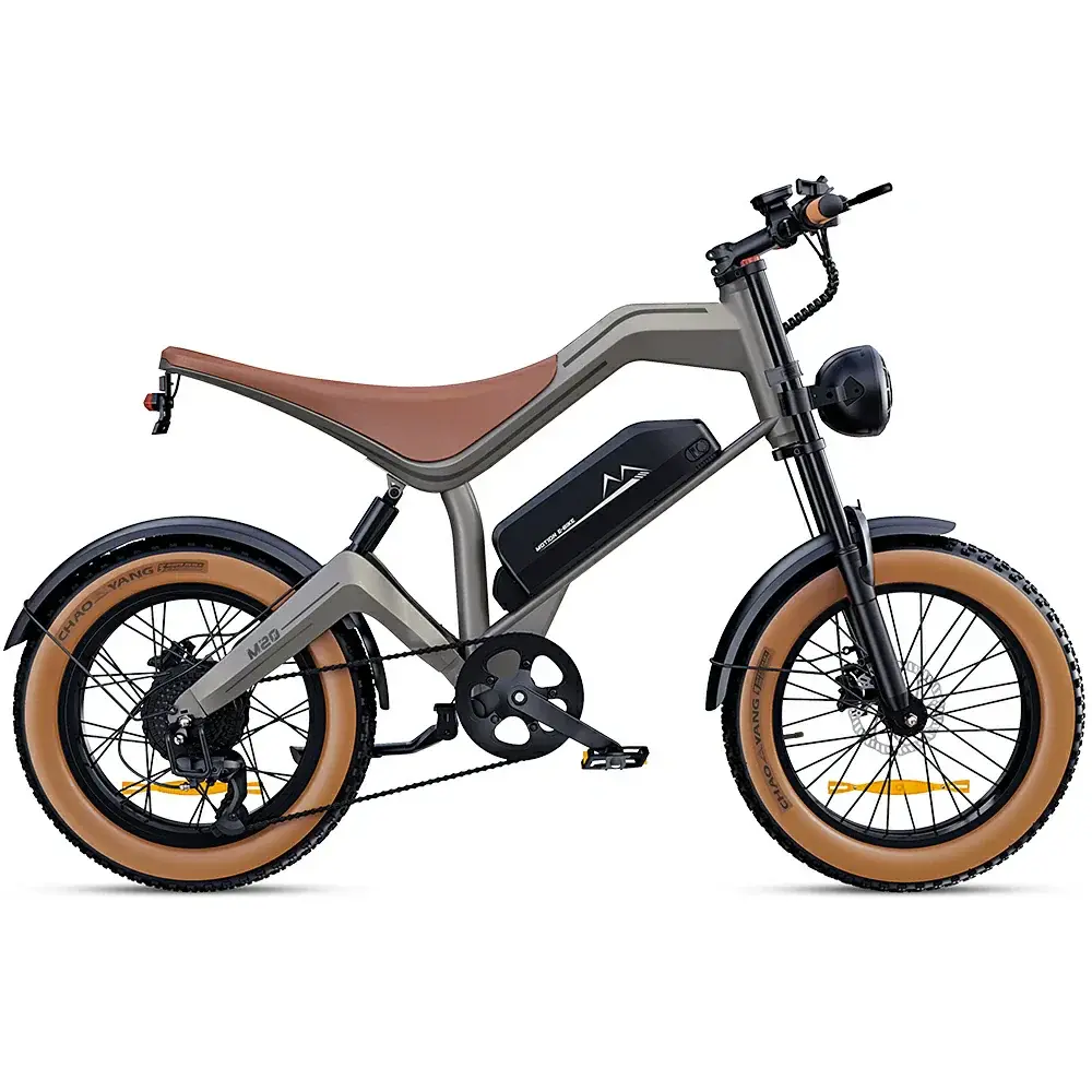 DYU M20 Bicicleta Eléctrica Todoterreno de Largo Alcance bicicleta eléctrica de larga autonomía