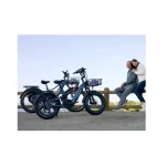 Bicicleta eléctrica de 750 W con neumáticos anchos