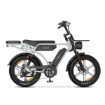 Bicicleta eléctrica premium