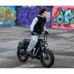 Bicicleta eléctrica de 250 W